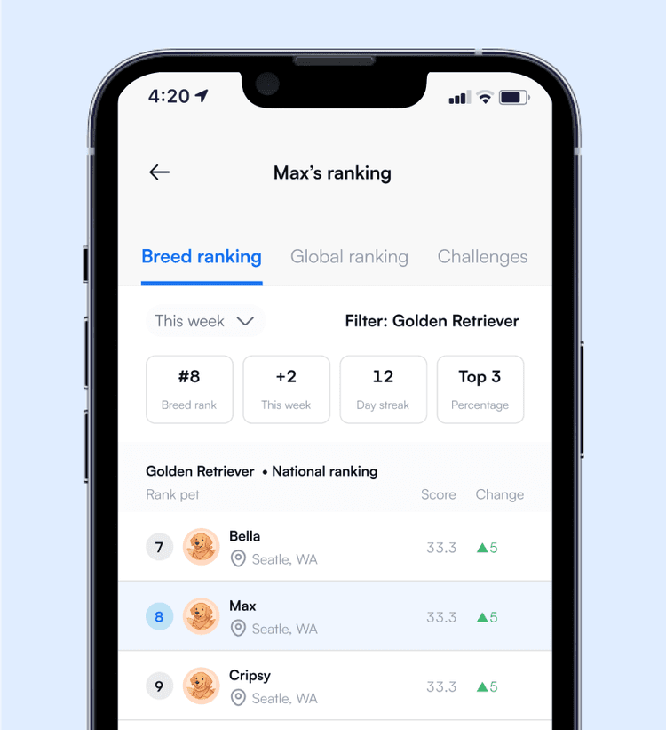 Gamified Progress