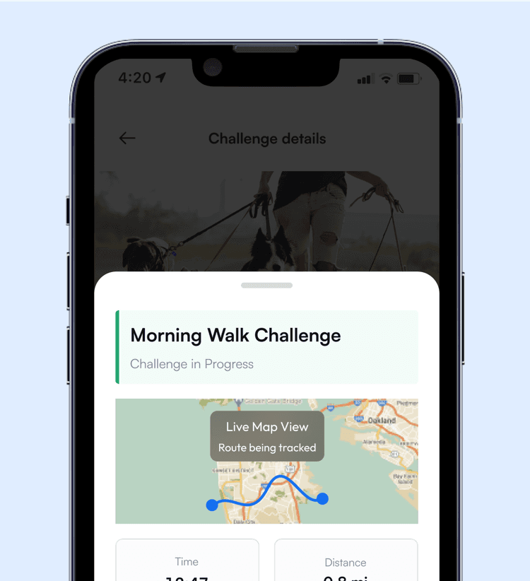 GPS Walk Tracking